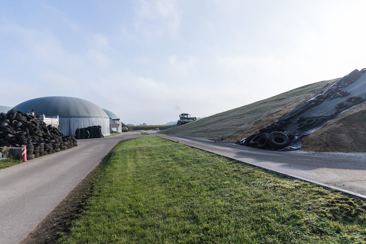 Bild 107 - Maisernte